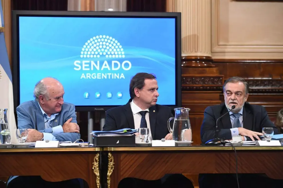Alberto-Lugones-plenario-de-comisiones-Asuntos-Constitucionales-y-Justicia-Senado-Consejo-de-la-Magistratura-22-de-marzo-2022
