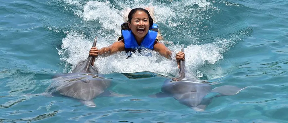 swim-with-dolphins-punta-cana-ocean-adventures-royal-swim-interior.jpg?v=7.8