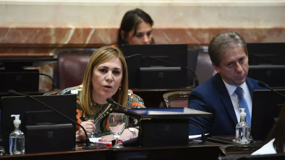La senadora Ávila rechazo una posible convocatoria del gobierno nacional a la oposición.