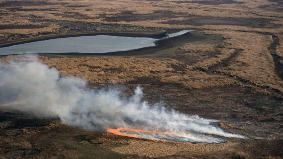 Una imagen aérea de 2020 de un incendio en el Delta del Paraná, Entre Ríos.
