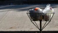 Cómo funcionarán los servicios municipales durante el fin de semana largo