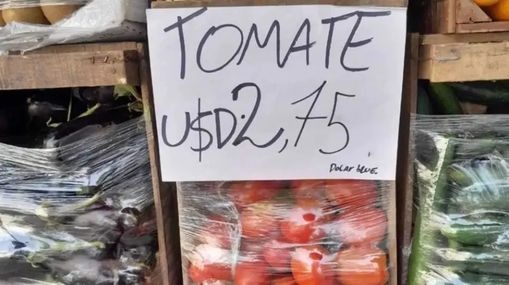 tomate-dolarizado-1568601