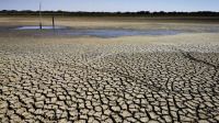 Crisis climática: en julio, más del 80% del planeta sufrió temperaturas por encima de lo habitual