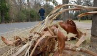 Graves efectos del viento Zonda en Cuyo