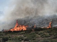 Tragedia en Grecia: al menos 28 personas murieron en los incendios forestales