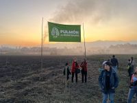 Plantarán 5.000 árboles en Concepción