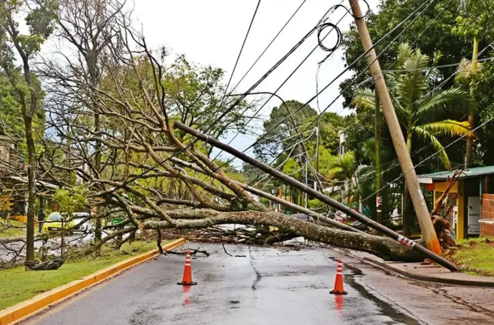 Se reportaron postes, cables de luz y árboles caídos en varios sectores