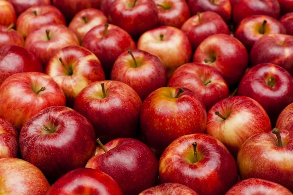 Por qué hay que comer una manzana todos los días para prevenir enfermedades
