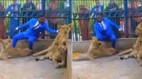 Un pastor se metió en una jaula con leones para demostrar "la protección de Dios"