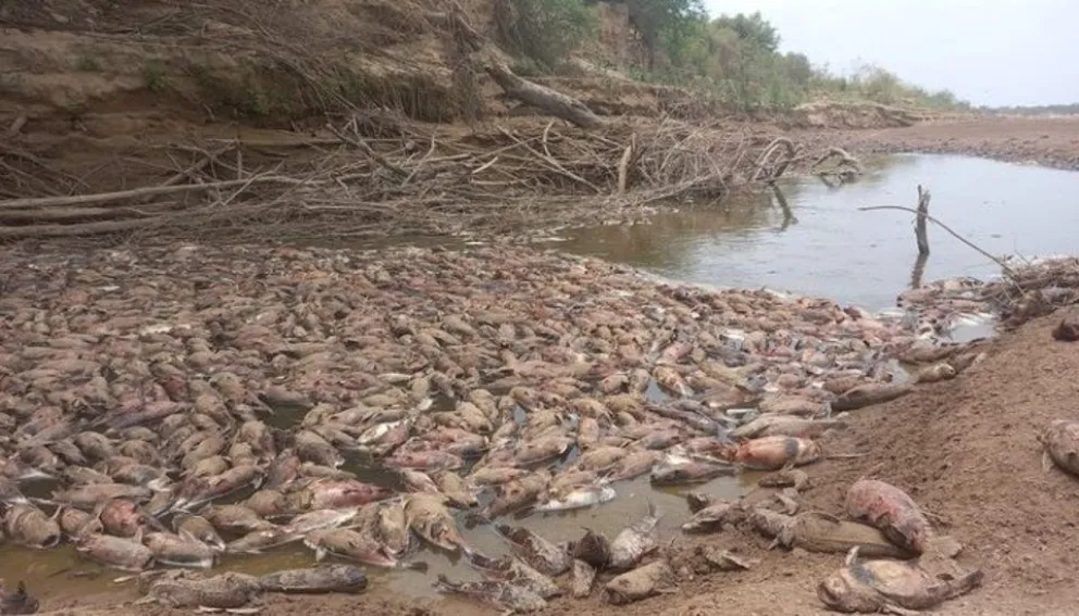 Importante baja del río Pilcomayo: la peor en 25 años