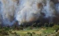 Alarma en Cafayate por incendios forestales