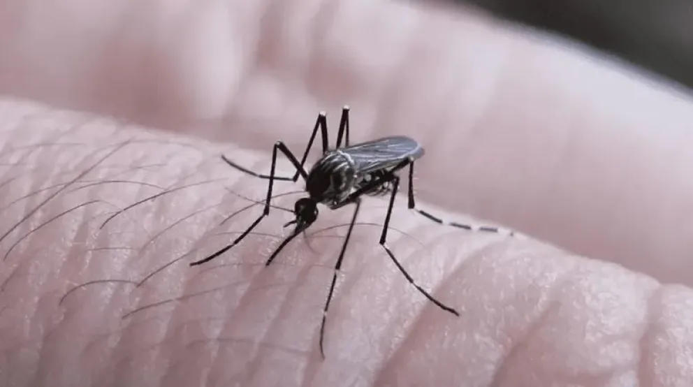Dengue: Alerta en Catamarca por el registro de un nuevo serotipo