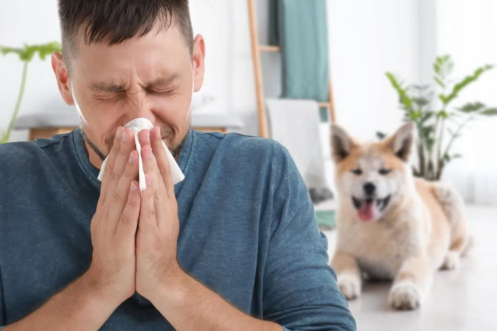 Alergia a los perros: Síntomas, causas y tratamiento