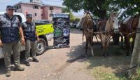 Aprehenden a una persona con un equino robado