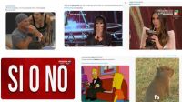 Los mejores memes del debate presidencial entre Milei y Massa