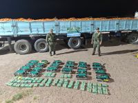 Jujuy: decomisan 461 kilos de hojas de coca