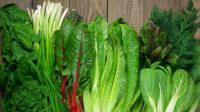 Cuatro vegetales de hojas verdes que deberían incluirse en dieta de todos los días