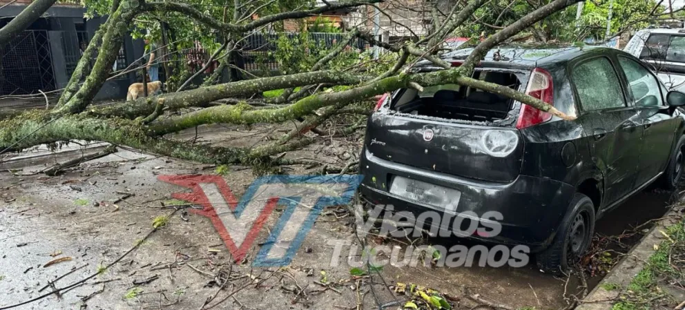 La tormenta causó serios problemas en Concepción