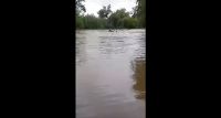 Niogasta: Un poblador y su caballo fueron arrastrados por el agua