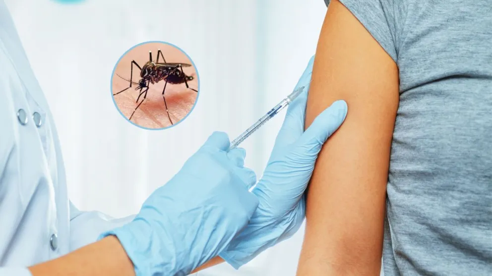 Vacuna contra el dengue: el Gobierno anunció que no se incluirá en el calendario nacional