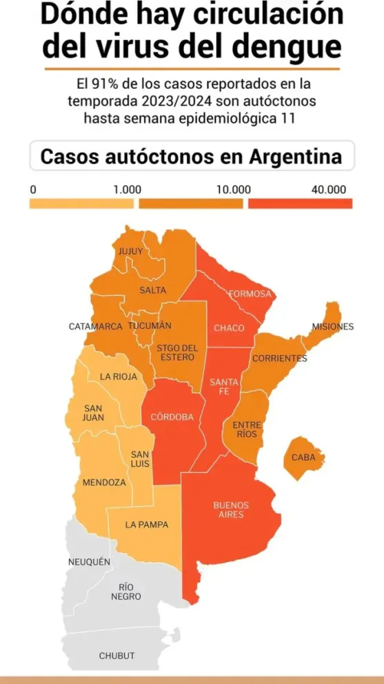 Gran parte de la Argentina está registrando circulación autóctona del dengue/Gráfico Marcelo Regalado