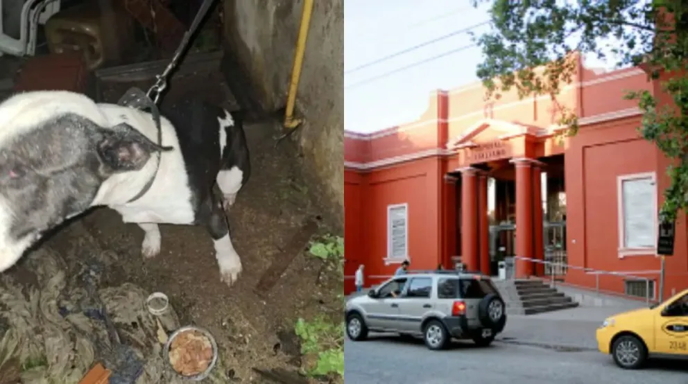 El hombre aseguró que fue su perro quien le produjo la amputación de los genitales. (Foto: Policía de Córdoba)
