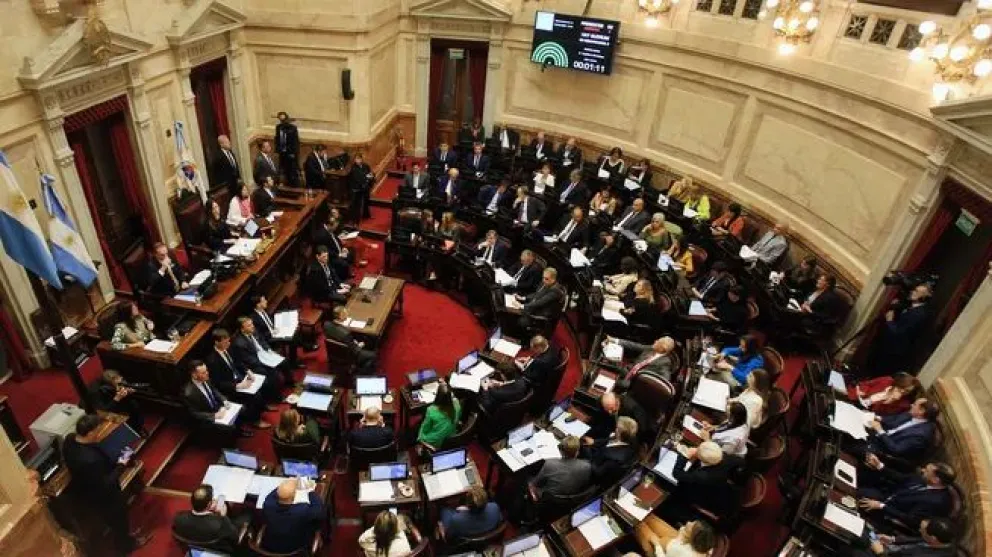 El pleno de la Cámara alta votará la ley Bases y el paquete fiscal la semana próxima